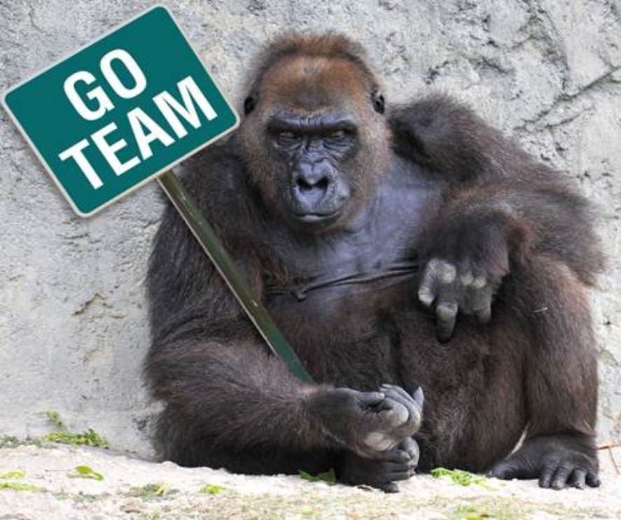 Go team From the Bullpen - The Ankenbrandt Group, Newport Beach, CA